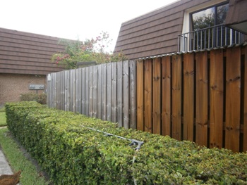 Garden Lakes Pressure Cleaning Fence After